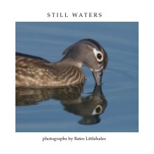 STILL WATERS book cover