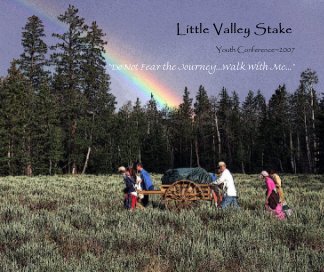 Little Valley Stake book cover