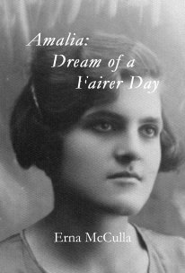 Amalia: Dream of a Fairer Day book cover