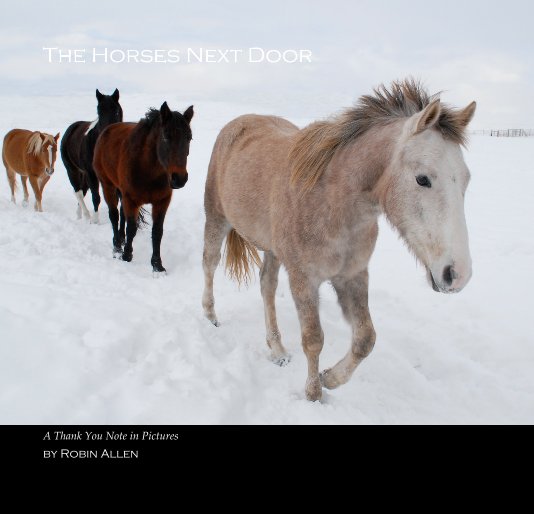 View The Horses Next Door by Robin Allen