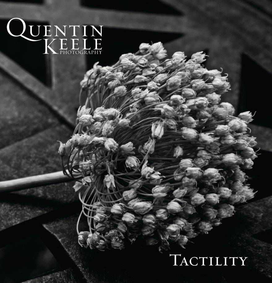 View Tactility by Quentin Keele