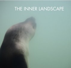 THE INNER LANDSCAPE book cover
