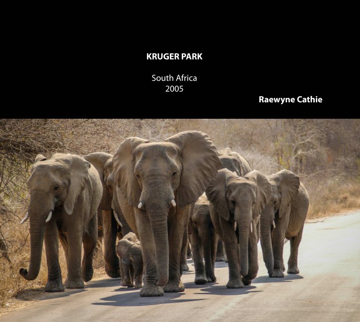 View Kruger Park by Raewyne Cathie
