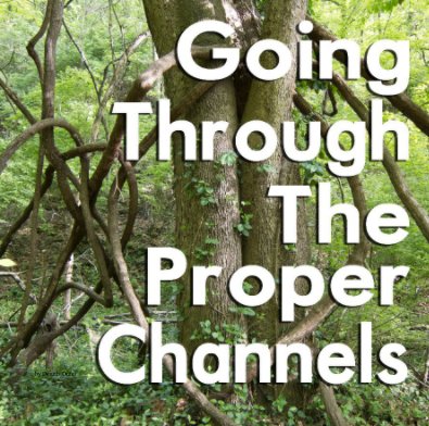 Going Through the Proper Channels book cover
