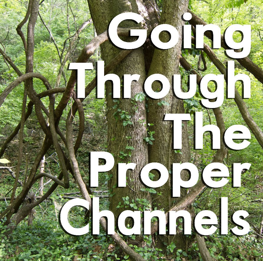 View Going Through the Proper Channels by D. Dufer