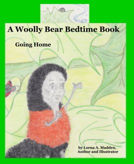 A Woolly Bear Bedtime Book book cover