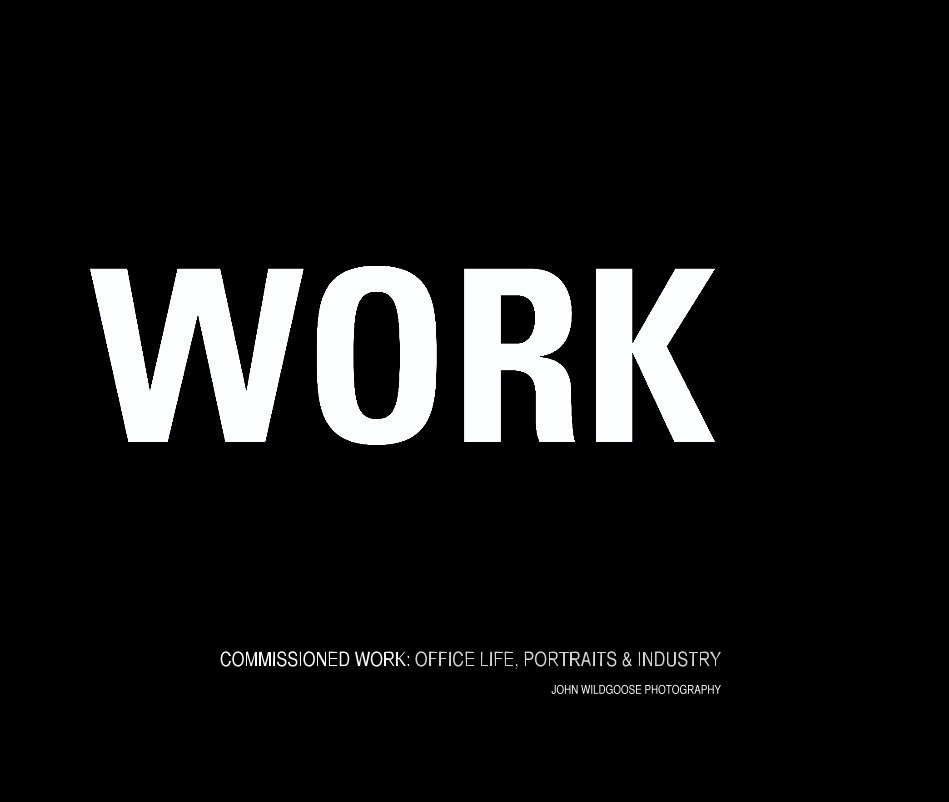 Visualizza COMMISSIONED WORK 2005-2008 di JOHN WILDGOOSE