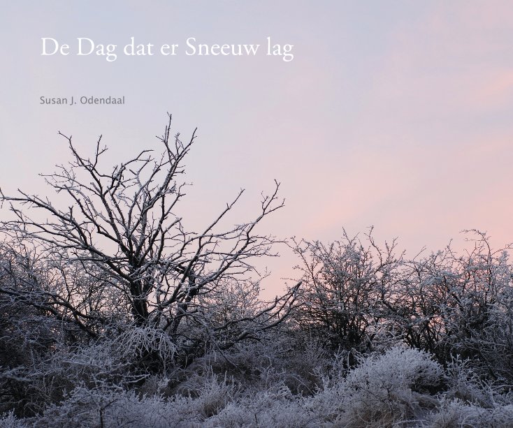 View De Dag dat er Sneeuw lag by Susan Odendaal