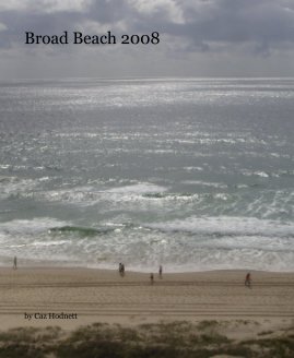 Broad Beach 2008 book cover
