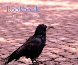 Rookbook book cover
