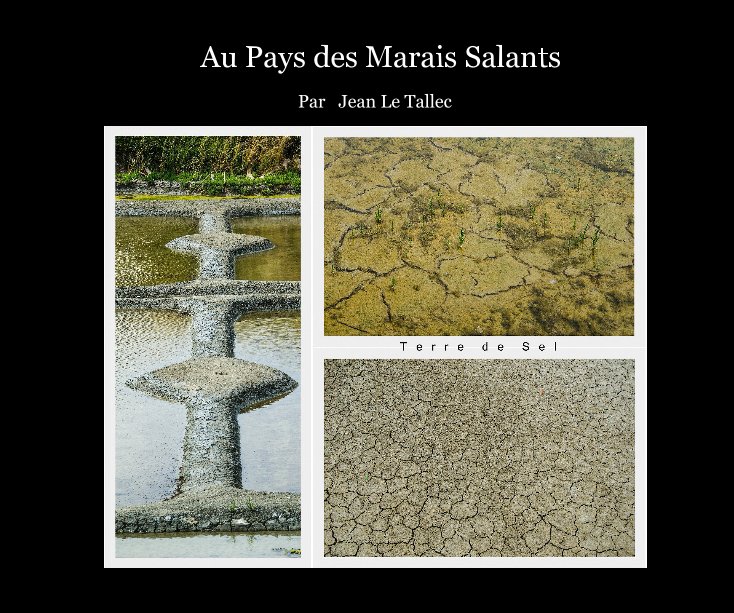 Visualizza Au Pays des Marais Salants di Par Jean Le Tallec