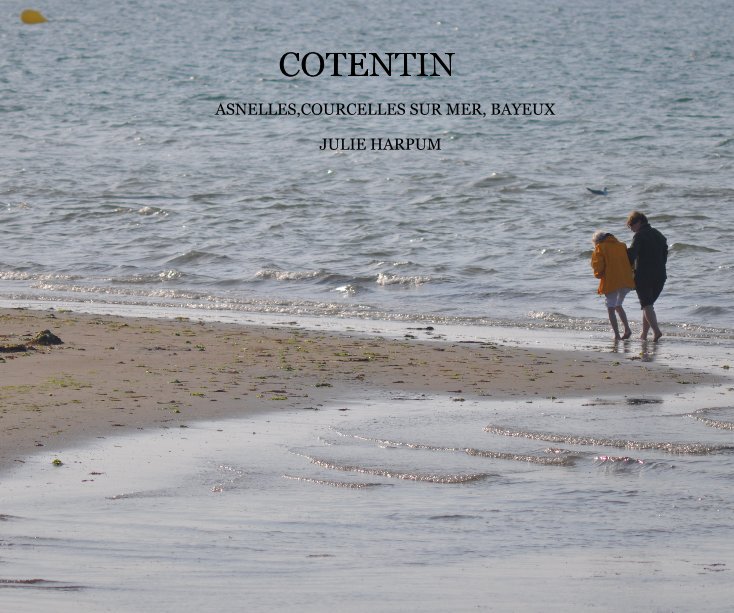 View Cotentin by Julie Harpum