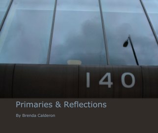 Primaries & Reflections book cover