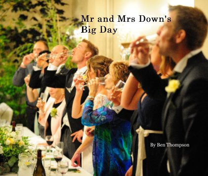 Mr and Mrs Down's Big Day book cover
