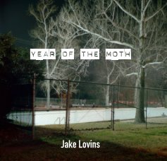 Year of the Moth book cover