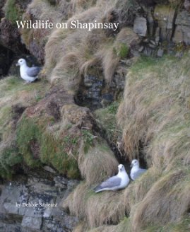 Wildlife on Shapinsay book cover