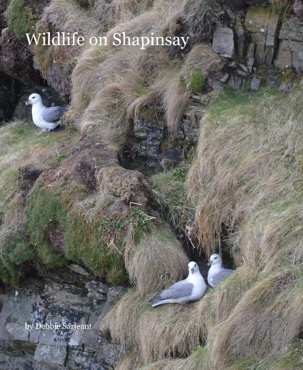 Visualizza Wildlife on Shapinsay di Debbie Sarjeant