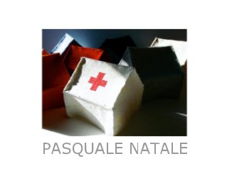 Pasquale Natale  - Home Again book cover