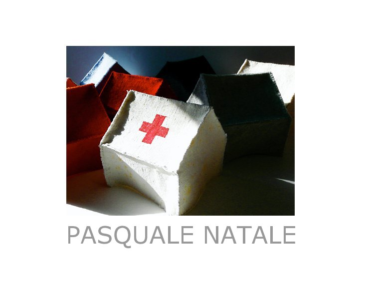 Bekijk Pasquale Natale  - Home Again op A gallery Press