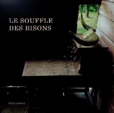 LE SOUFFLE DES BISONS book cover