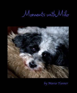 Moments with Milo book cover