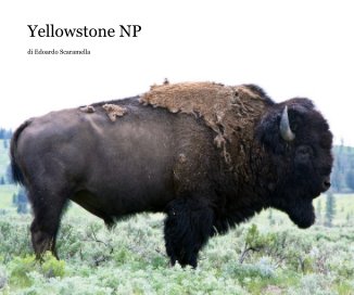 Yellowstone NP book cover