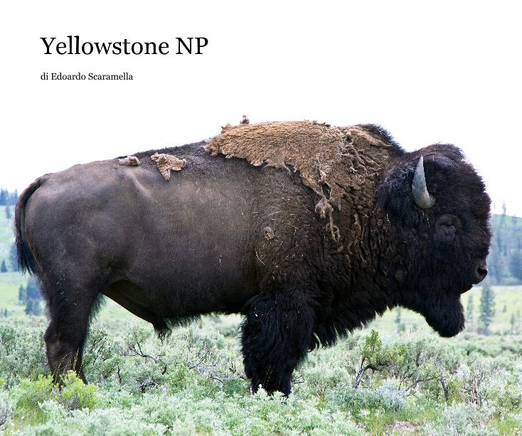 Ver Yellowstone NP por Edoardo Scaramella