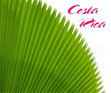 Costa Rica (1) book cover