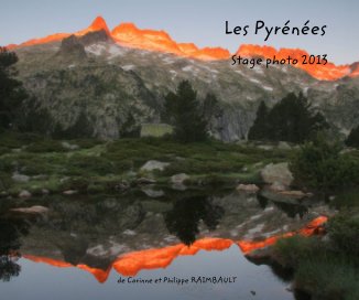 Les Pyrénées book cover