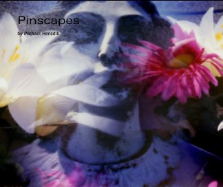 Pinscapes book cover