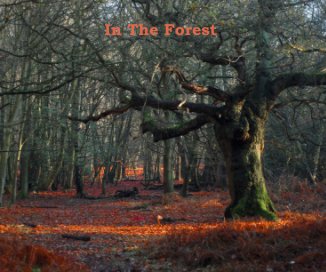 In The Forest book cover
