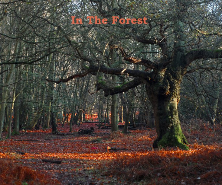 Ver In The Forest por Dovile Dovke