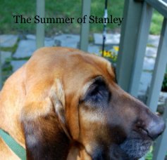 The Summer of Stanley book cover