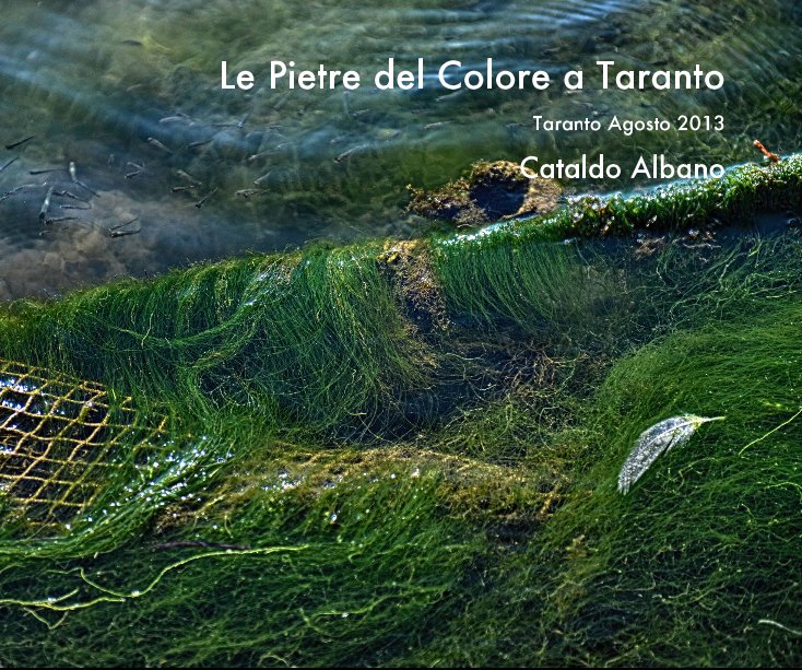 Ver Le Pietre del Colore a Taranto por Cataldo Albano