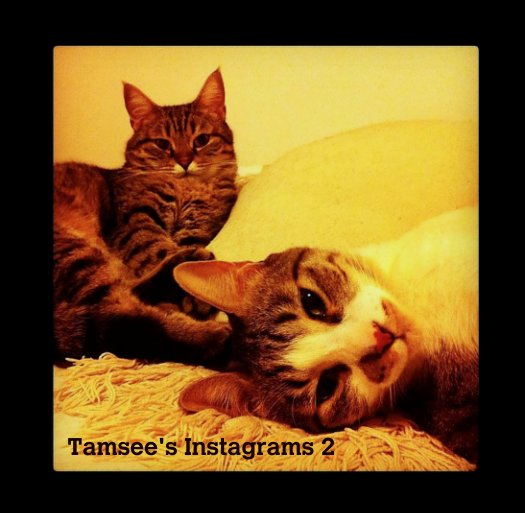 Ver Instagrams 2 por Tamsee