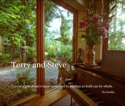 Terry and Steve book cover