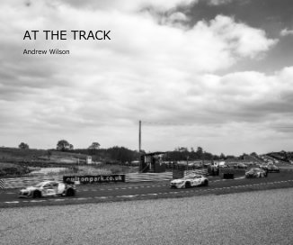 AT THE TRACK book cover