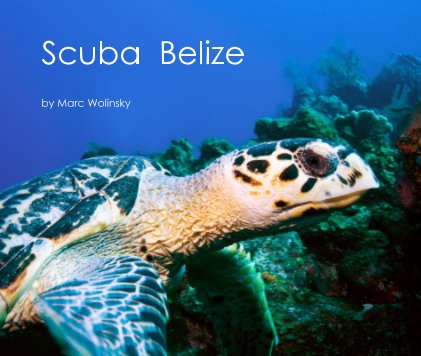 Scuba Belize book cover