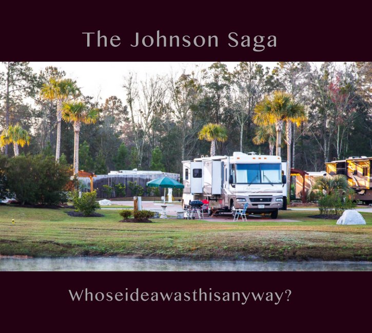 View The Johnson Saga by Philip D Madarasz