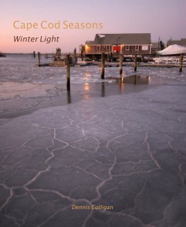 Cape Cod Seasons book cover