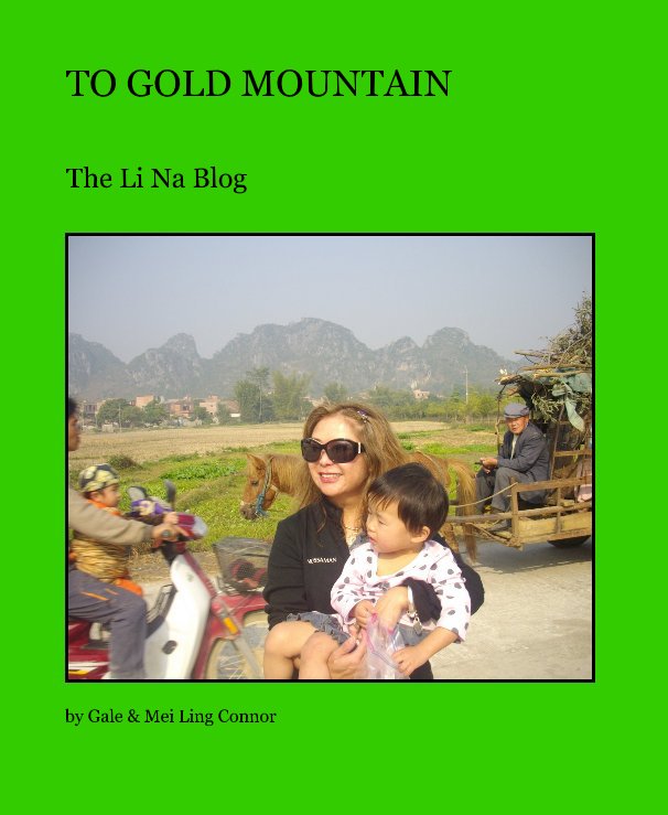 View TO GOLD MOUNTAIN by Gale & Mei Ling Connor