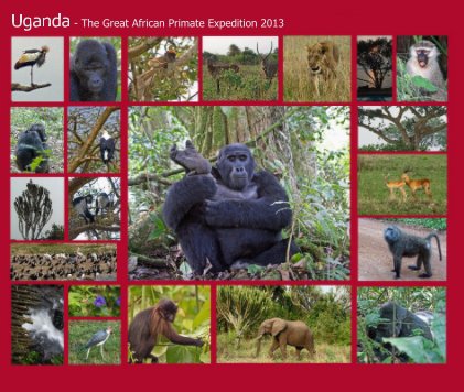 Uganda - The Great African Primate Expedition 2013 book cover