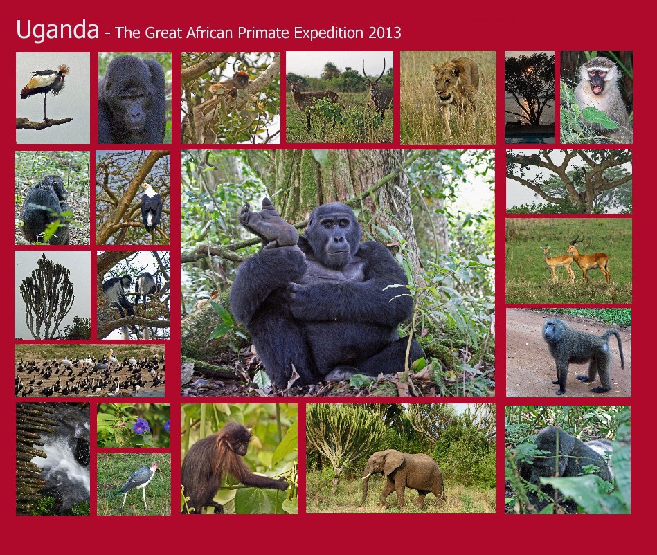 Ver Uganda - The Great African Primate Expedition 2013 por Ursula Jacob