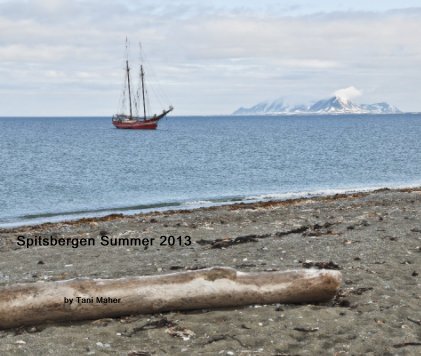 Spitsbergen Summer 2013 book cover