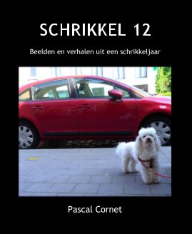 SCHRIKKEL 12 Schrikkel book cover