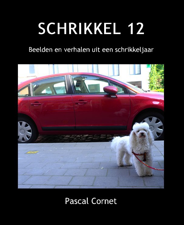 Visualizza SCHRIKKEL 12 Schrikkel di Pascal Cornet