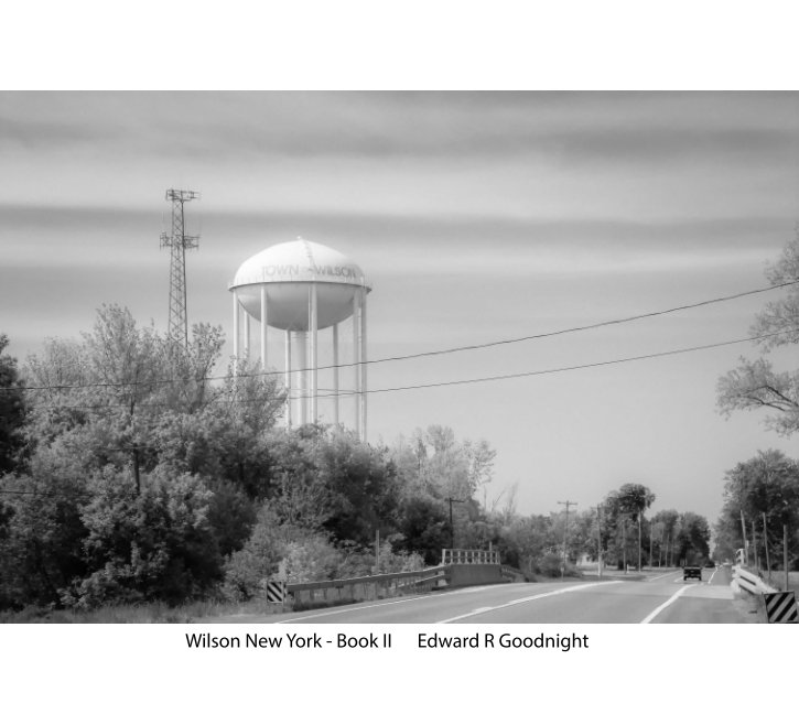 View Wilson New York - book II by Edward R Goodnight