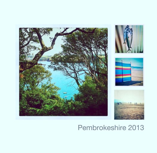 Ver Pembrokeshire 2013 por Neil Juggins