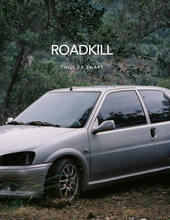 View Roadkill by Thijs de Zwart