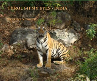 THROUGH MY EYES - INDIA book cover